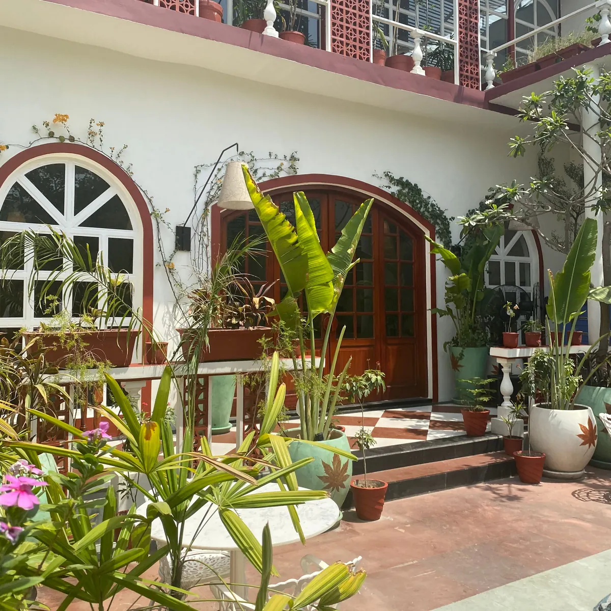 Halaman rumah dengan tanaman tropis dalam pot